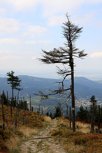 Karkonosze