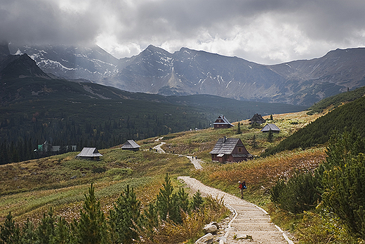 Hala Gsienicowa