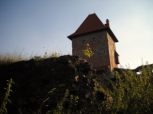 Zamek w Chudowie