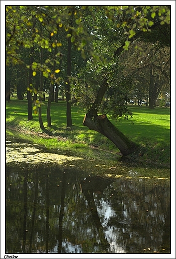 Chotw - XVIII wieczny park okalajcy klasycystyczny dwr z XIX w.