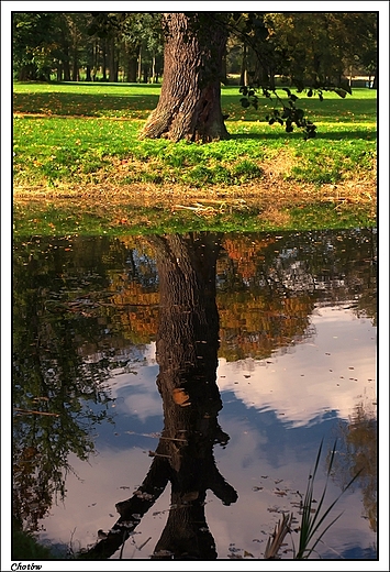 Chotw - XVIII wieczny park okalajcy klasycystyczny dwr z XIX w.