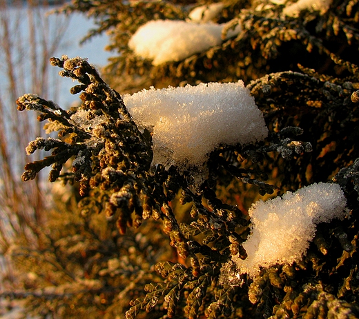 małe co nie co