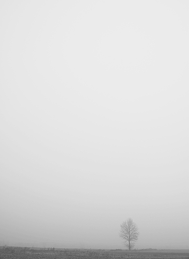 Samotnie we mgle 1