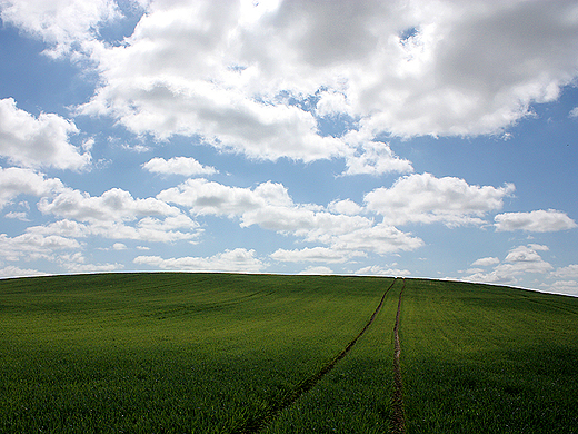 mijewo - bezkresne pola