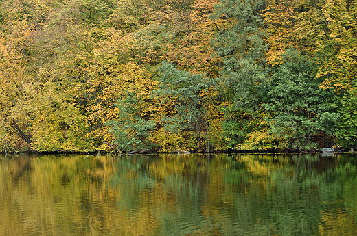 Jezioro Wysokie Brodno w barwach jesieni. Lisa Młyn