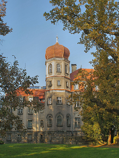 Zesp paacowo-parkowy w Brynku