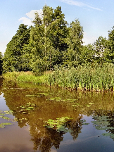 Spacerkiem po powiecie Skaryskim - Gmina Skarysko-Kamienna