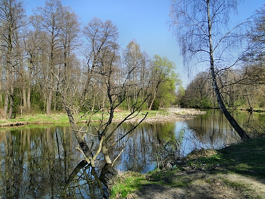 Spacerkiem po powiecie Skaryskim - Gmina Skarysko-Kamienna