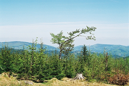 Beskid lski