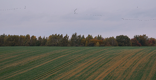 Jesienny krajobraz w Strzybniku