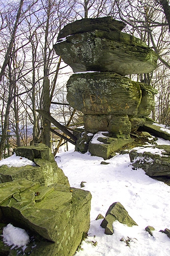 Diabelski Kamie na stokach Jaworzyny Krynickiej. Beskid Sdecki