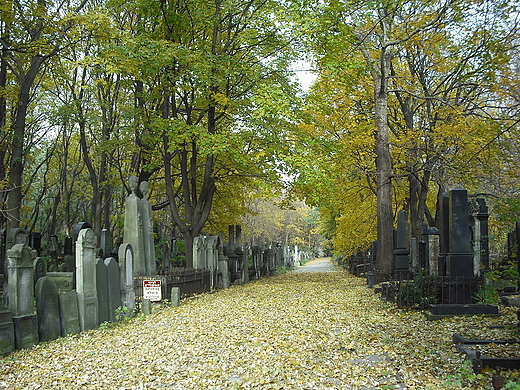 Warszawa. Cmentarz ydowski. Aleja Gwna.