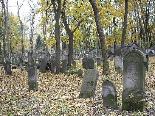 Warszawa. Cmentarz ydowski.