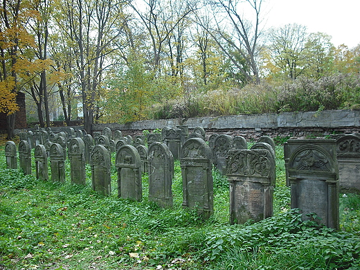Warszawa. Cmentarz ydowski.