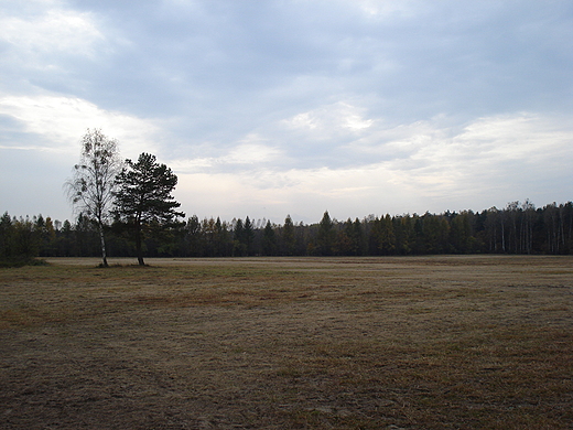 Kampinos jesieni.