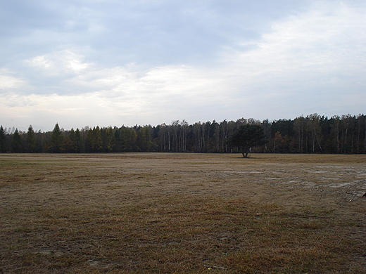 Kampinos jesieni.