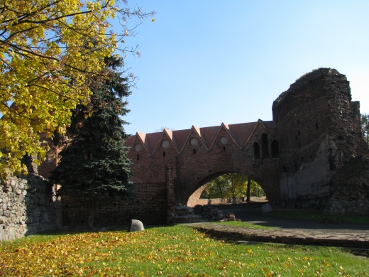 Zamek Krzyacki