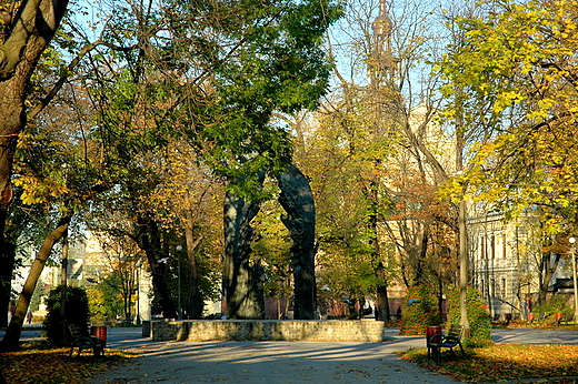 Kielce - pomnik na skwerze eromskiego