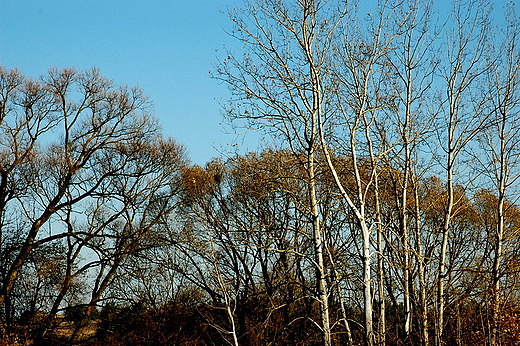 Maleszowa - na polach