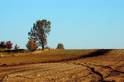 Maleszowa - samotnik