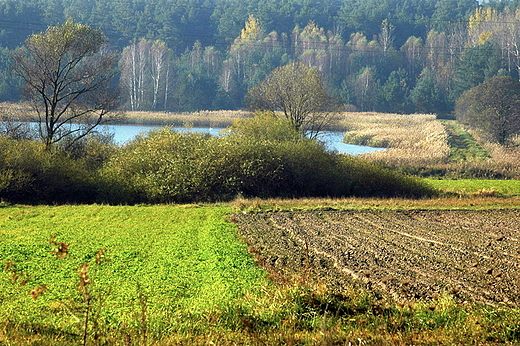 Maleszowa - stawy rybne