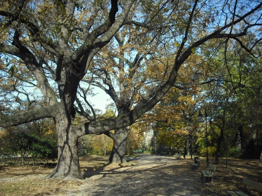 Warszawa. Park Ujazdowski.