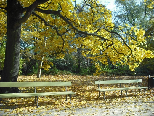 Warszawa. Park Ujazdowski.