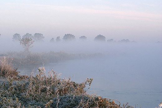 Narew w Siekierkach