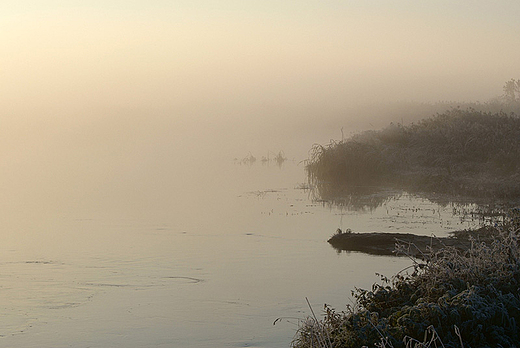 Narew w Siekierkach