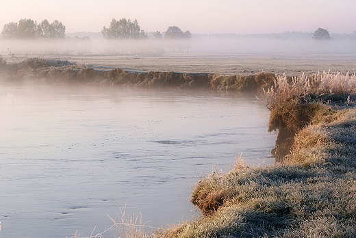 Narew w Siekierkach