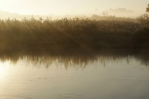 Narew w Siekierkach