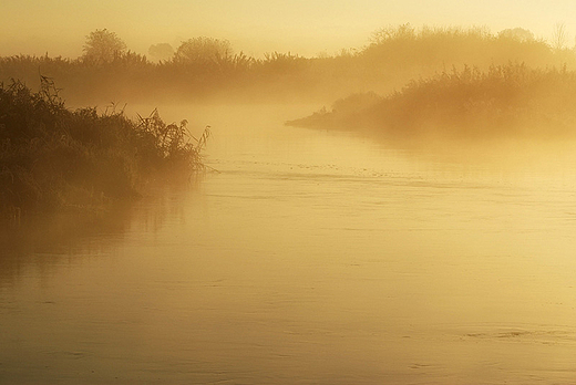 Narew w Siekierkach