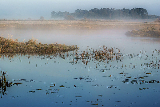 Narew w Siekierkach