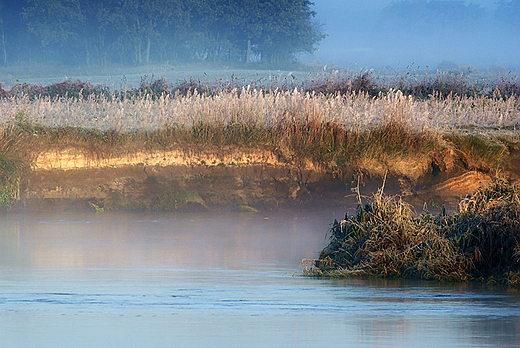 Narew w Siekierkach