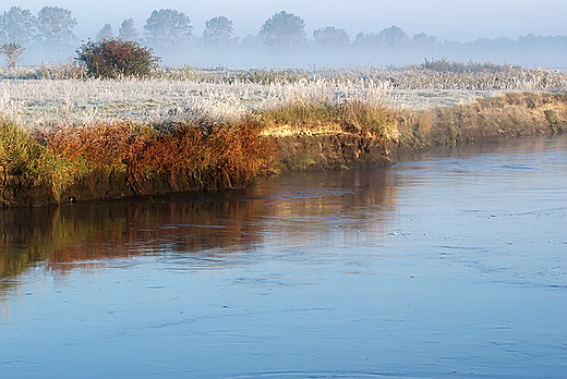 Narew w Siekierkach