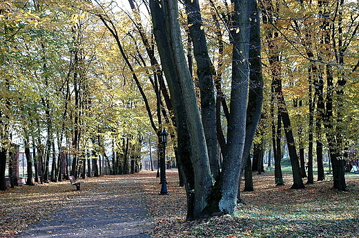 Rytwiany - radziwilowski park