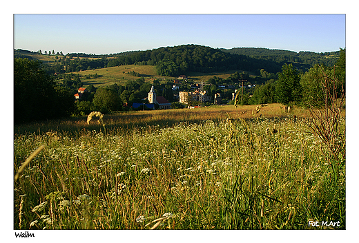 Walim - panorama