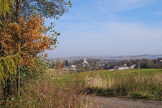 Widok na koci w. Mikoaja w Dbnie