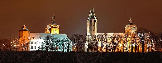 Katedra i zamek w Pocku