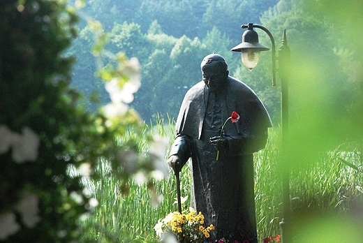 Studzieniczna. Puszcza Augustowska