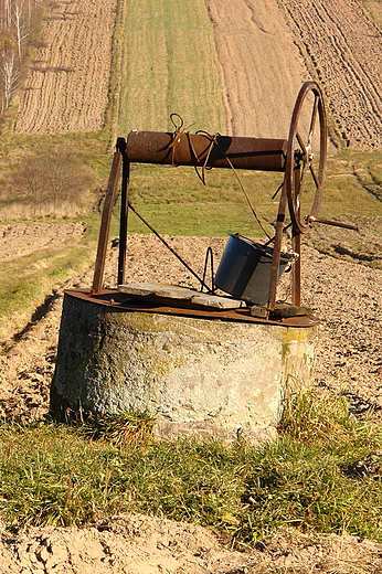 Pola na Podaziu