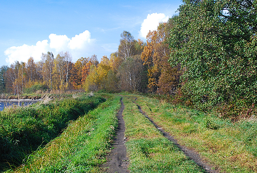 Krajobraz jesienny.