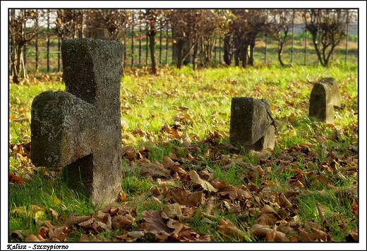 Kalisz - Ukraiski Cmentarz Wojskowy