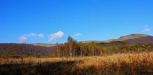 Panorama Tarnicy i Szerokiego Wierchu