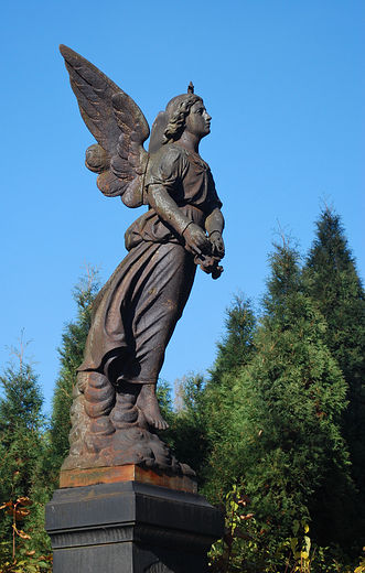 Figura anioka na cmentarzu katolickim.
