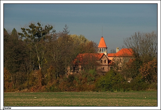 Gutw - paac (widok od drogi Kocielna Wie - Skalmierzyce)