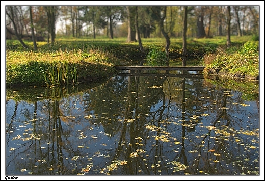 Gutw - park krajobrazowy okalajcy paac