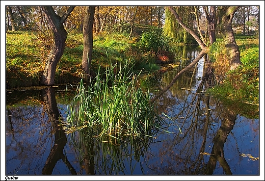 Gutw - park krajobrazowy okalajcy paac