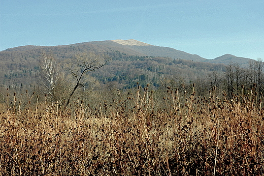 Bieszczady  - oczywicie Wetliska