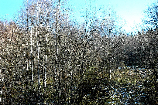 Biezczady - podejcie na pooniny